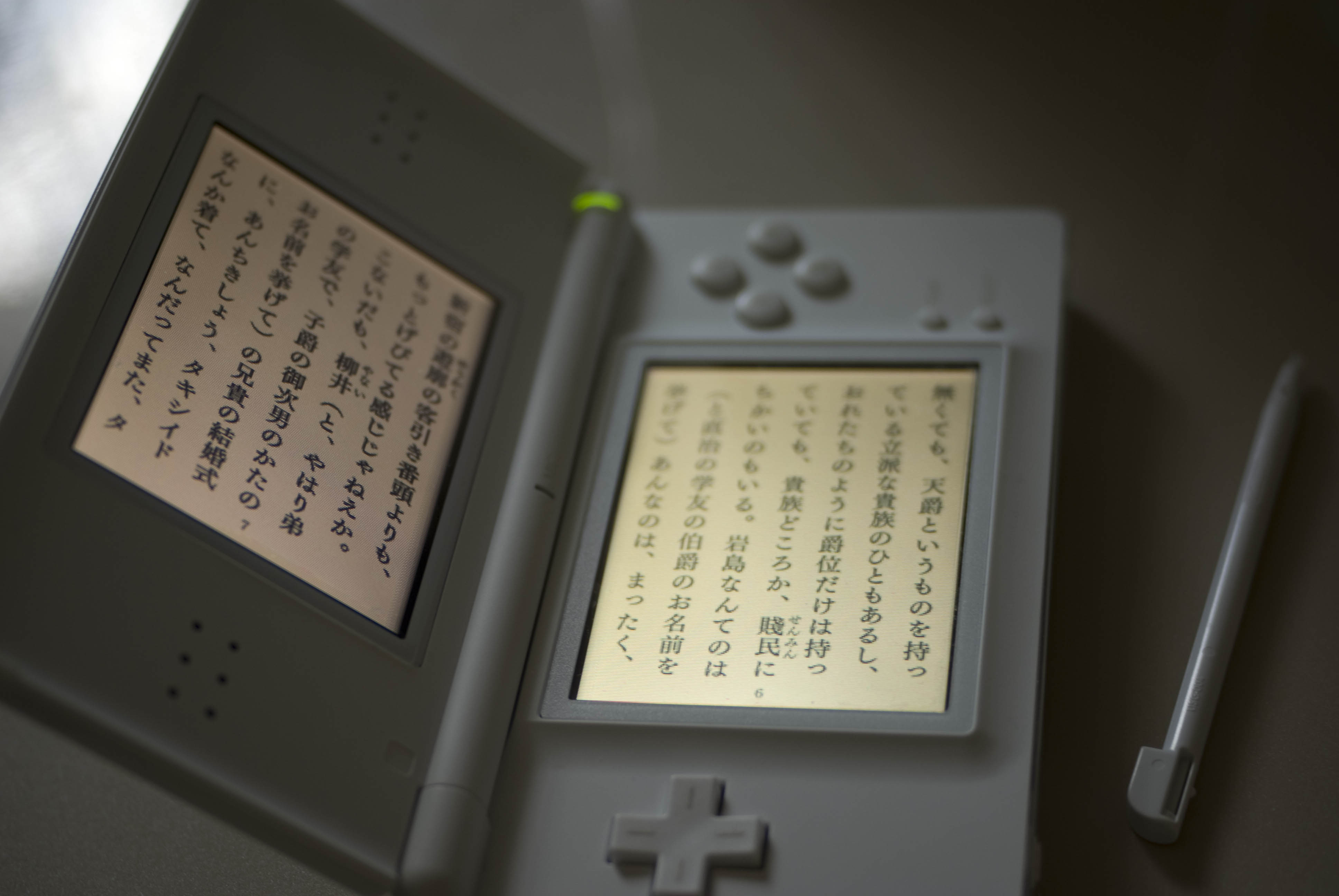 DS文学全集
