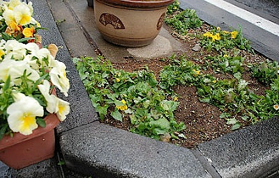 長野聖火リレー