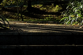 皇子山公園