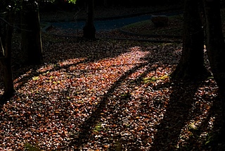 20081126-IMGP2927.jpg