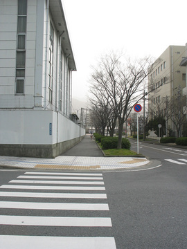 横断歩道