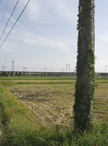道中