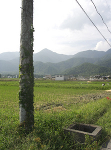 道中