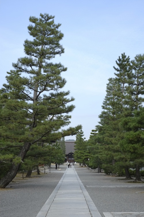 妙心寺南総門からの景色