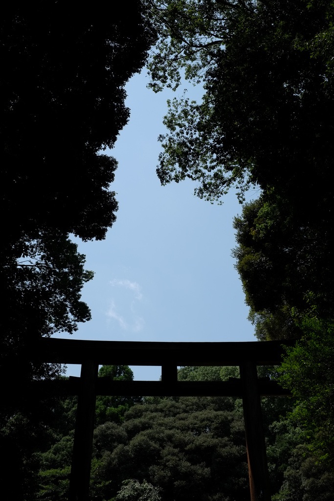 近江神宮の鳥居