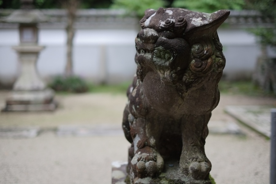 こまいぬ