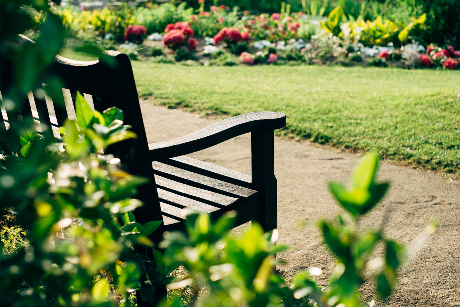 bench