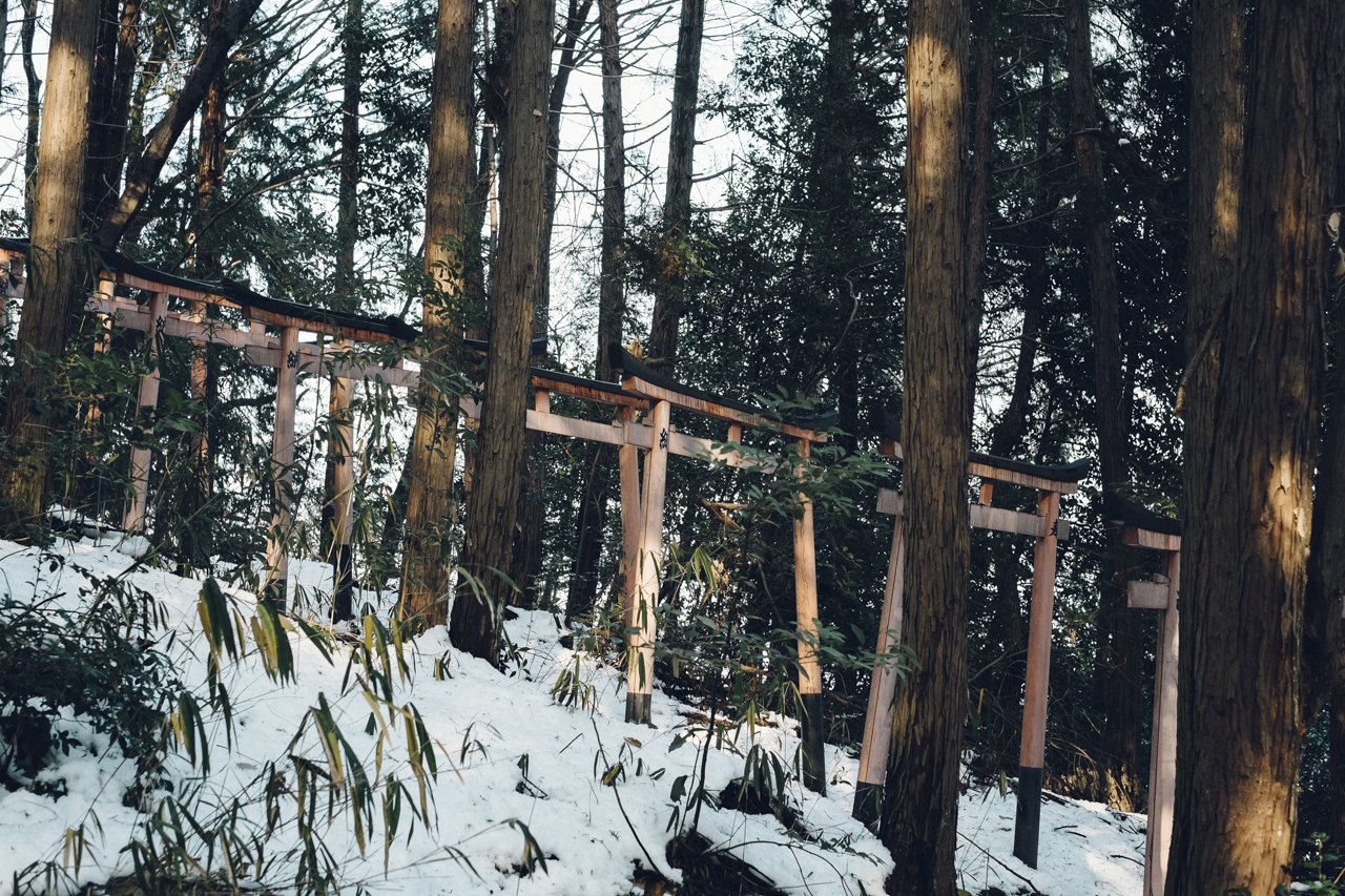雪の鳥居