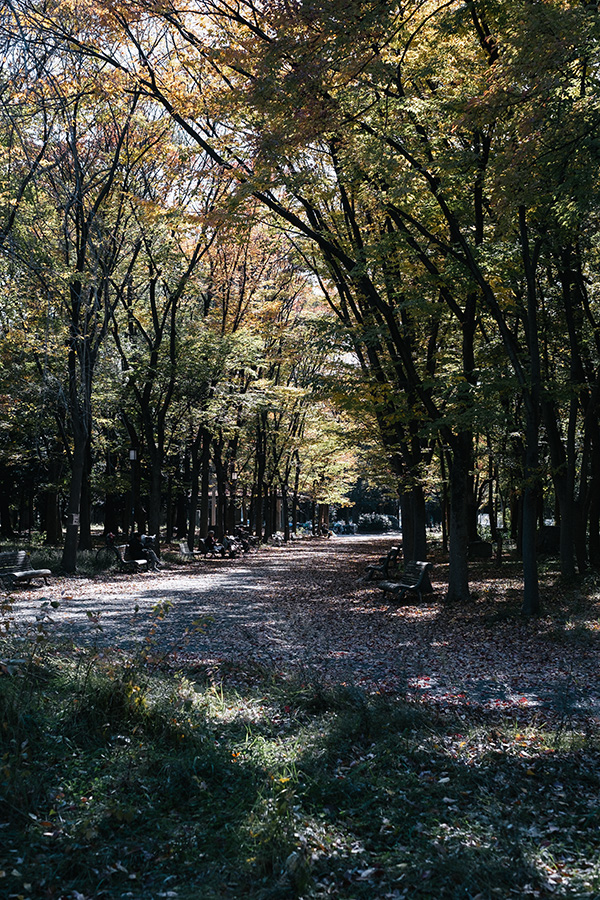 大阪城公園
