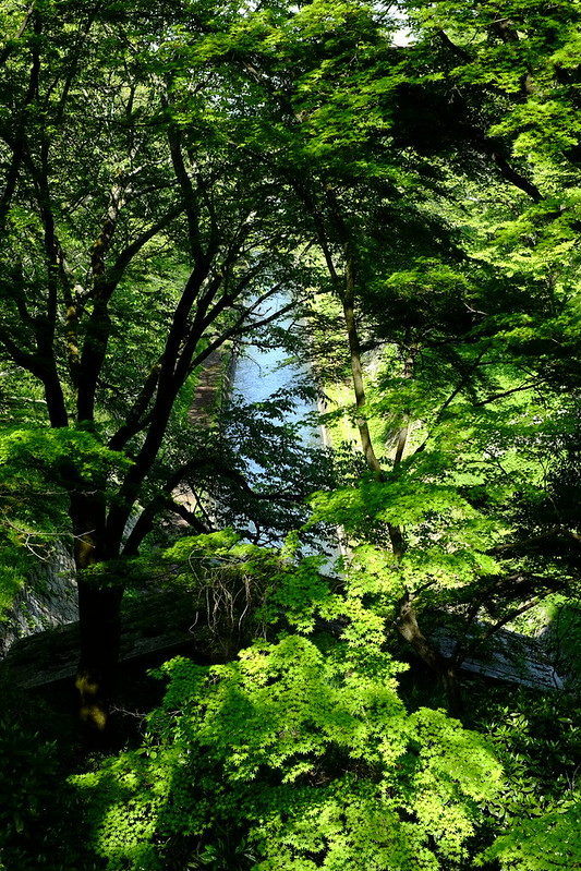 琵琶湖疎水