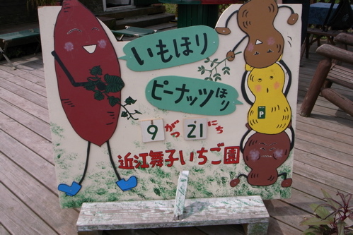 2009.09.21 近江舞子いちご園