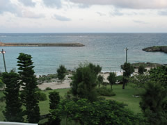 海
