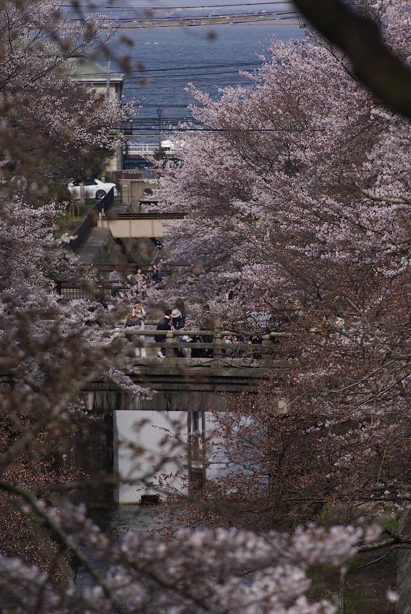 疎水から琵琶湖を望む