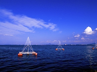 琵琶湖の湖東側