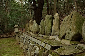 長等公園の裏の山